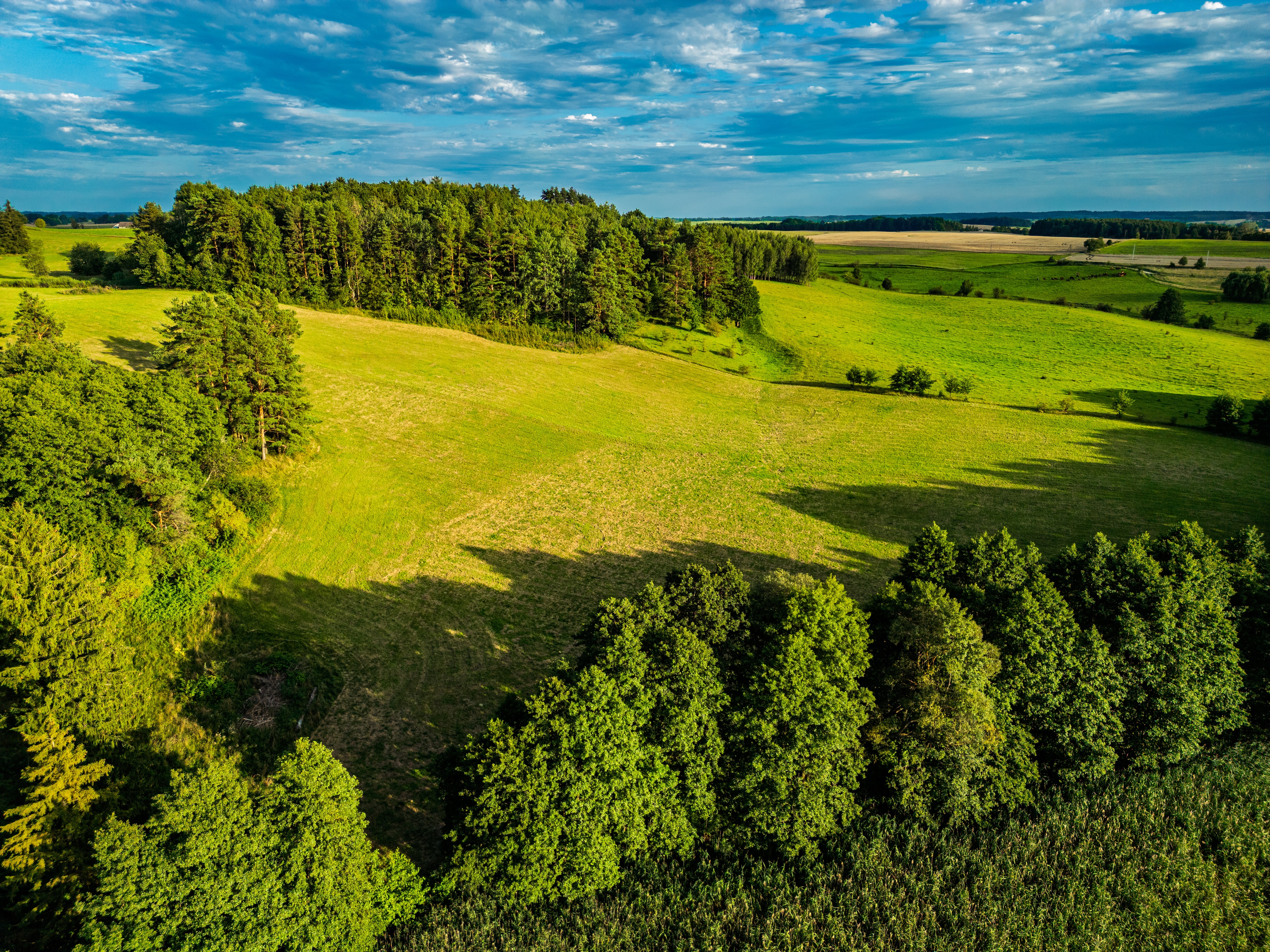 Działki budowlane Blanki II
